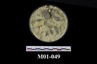 藏品(硫磺)的圖片